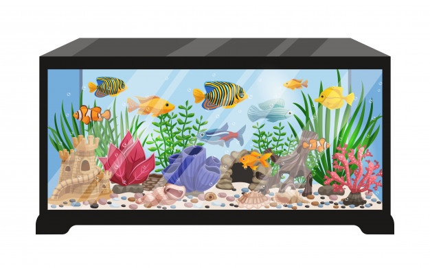 How to Calculate Volume of an Aquarium. - AQUARIUM