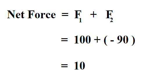 Calculate Net Force.