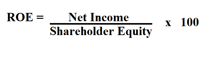 Calculate Return on Equity.