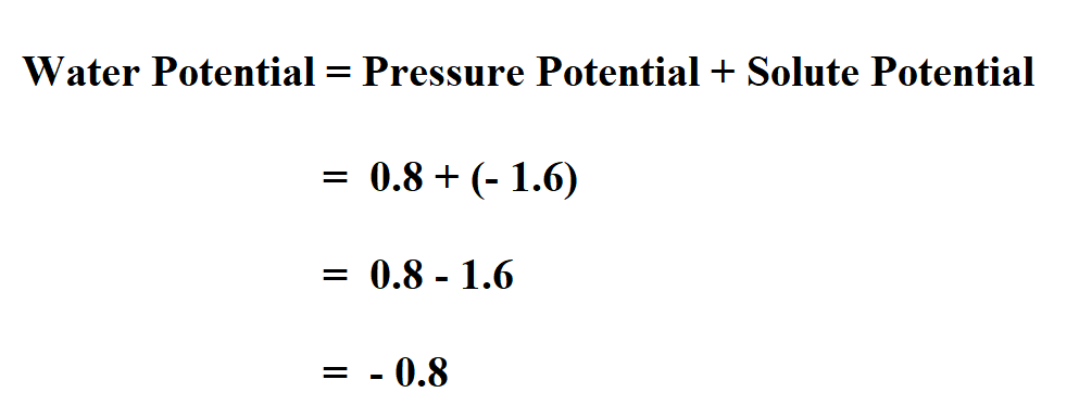 Calculate Water Potential.