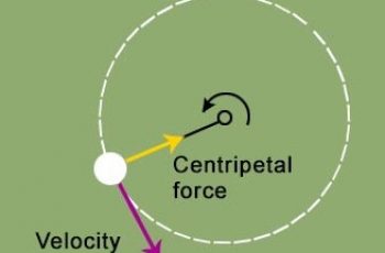 How to Calculate Centripetal Force.