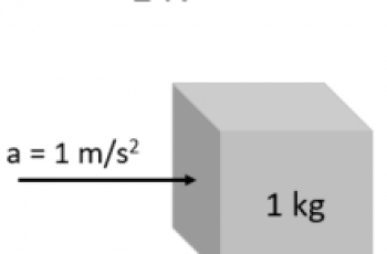 How to Calculate Newtons.