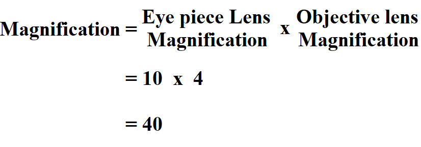 Calculate Total Magnification.