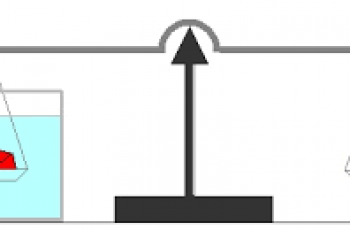 How to Calculate Specific Gravity.