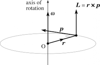 How to Calculate Angular Momentum.