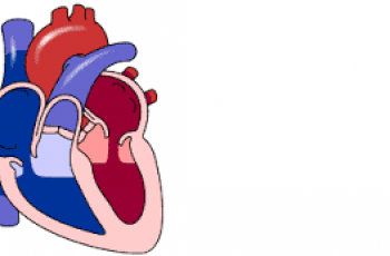 How to Calculate Cardiac Output.