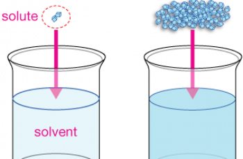 How to Calculate Molality.