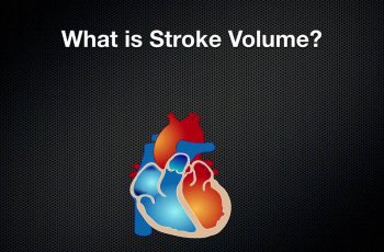 How to Calculate Stroke Volume.