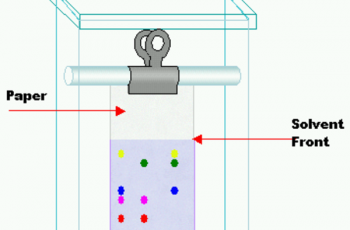 How to Calculate the Rf Value.