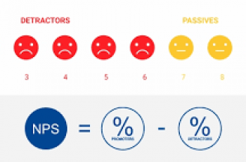 How to Calculate NPS.