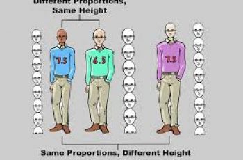 How to Calculate Proportion.