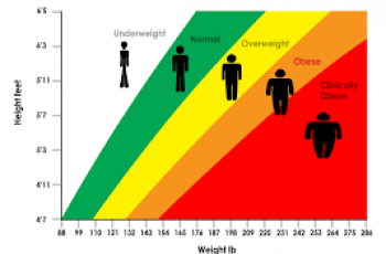 How to Calculate BMI in Pounds.