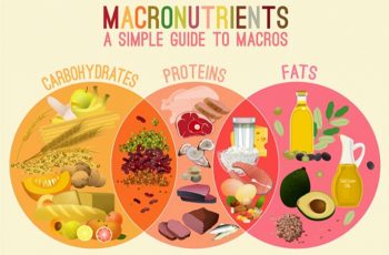 How to Calculate your Macros.