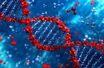 How to Calculate Allele Frequency.