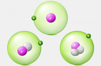 How to Calculate Relative Abundance.