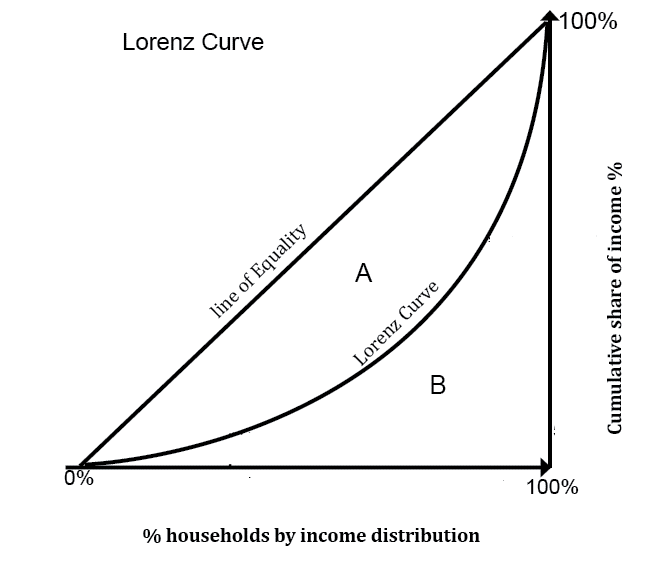  Calculate Gini Coefficient.