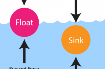 How to Calculate Buoyant Force.