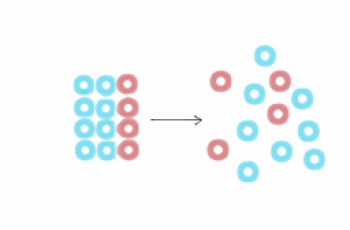 How to Calculate Entropy Change.