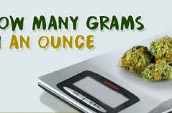 How to Convert Grams to Ounces.